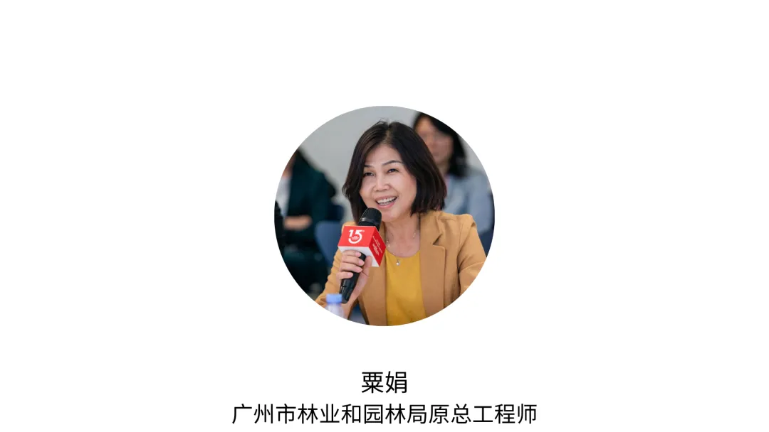 1735814061279279.jpg 1735814056913.jpg