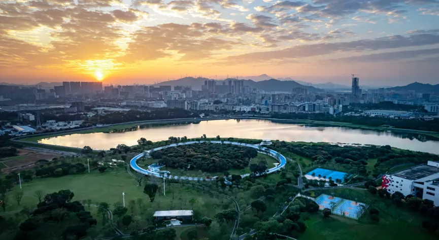 1735814258177988.jpg 1735814249191.jpg