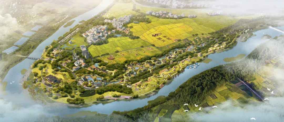 1735814345126172.jpg 1735814336134.jpg