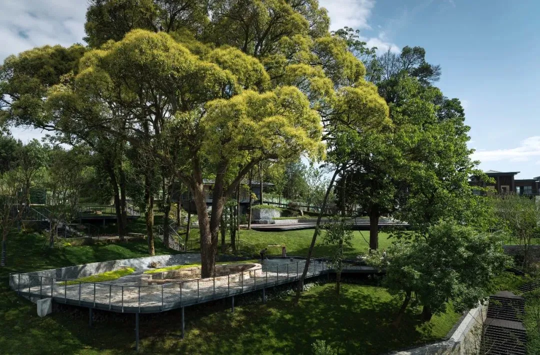 1736161697181290.jpg 1736161686040.jpg