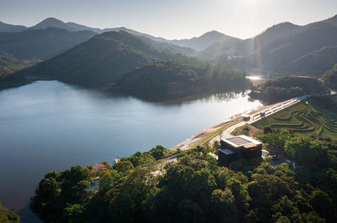 1736161724970365.jpg 1736161710576.jpg