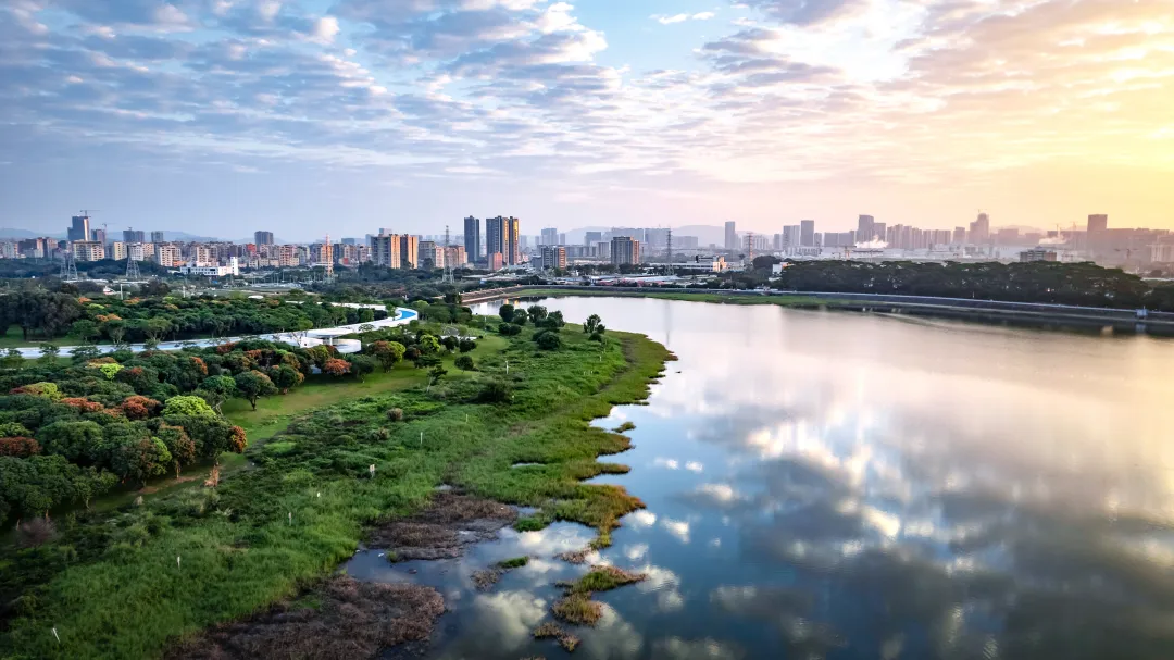 1736245634178169.jpg 1736245623605.jpg