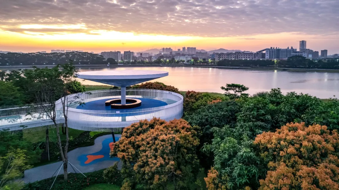 1736245637523632.jpg 1736245626000.jpg