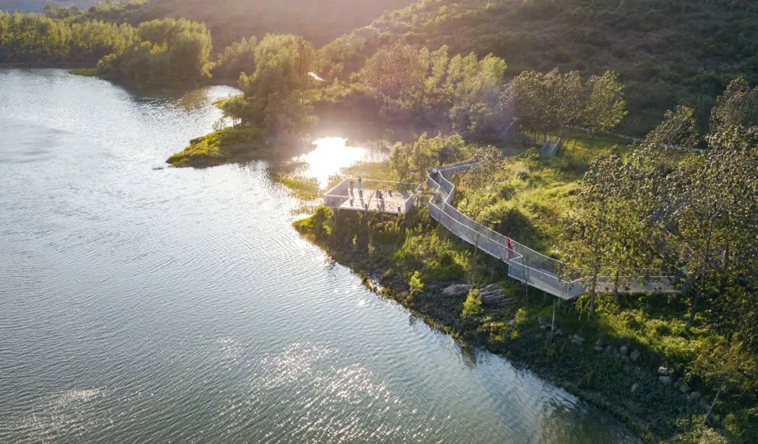 1736245653138195.jpg 1736245645154.jpg