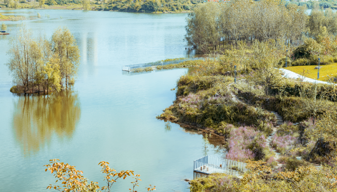 1736245657807177.jpg 1736245646912.jpg