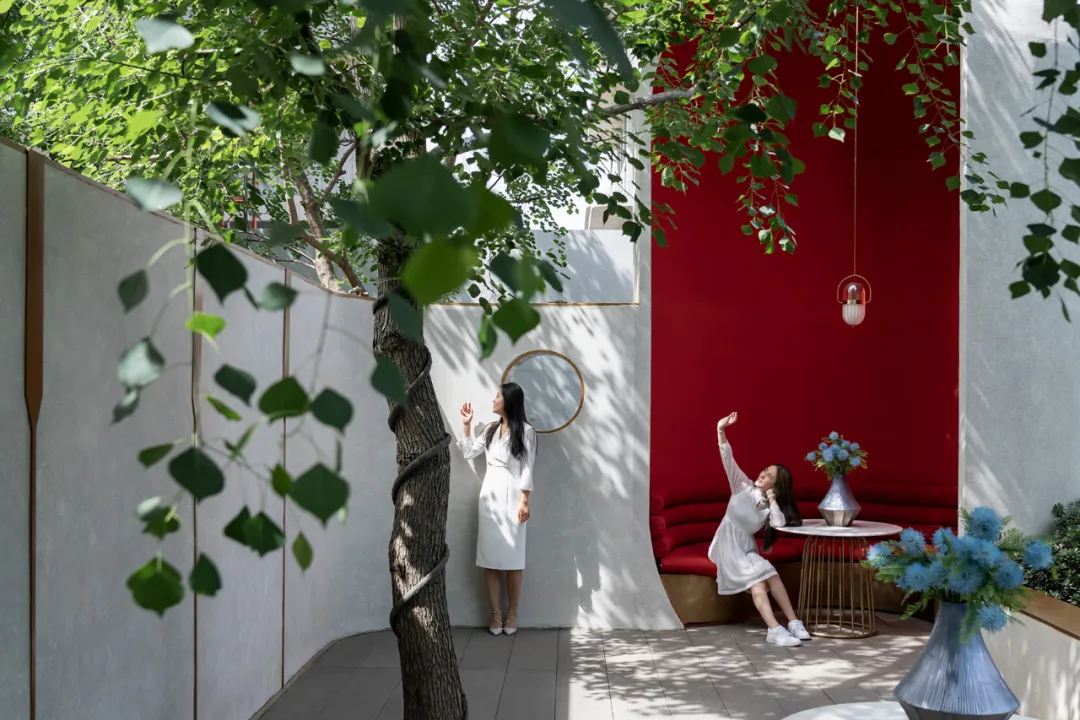 1736329232987116.jpg 1736329227736.jpg