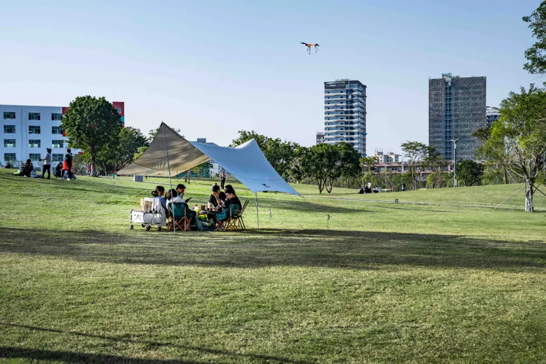 1736330784578681.jpg 1736330774030.jpg