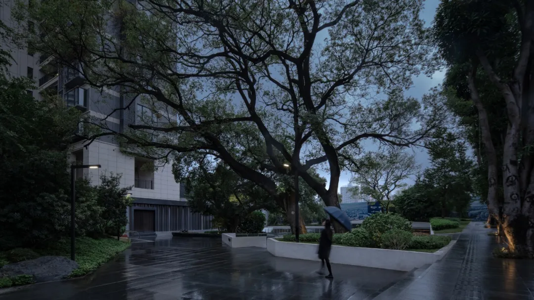 1736386215762635.jpg 1736386209354.jpg