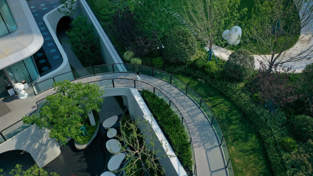 1736386233175446.jpg 1736386230485.jpg