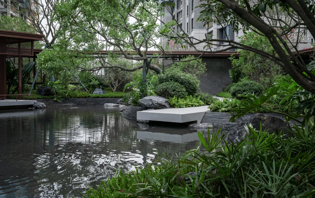 1736386264179125.jpg 1736386255752.jpg