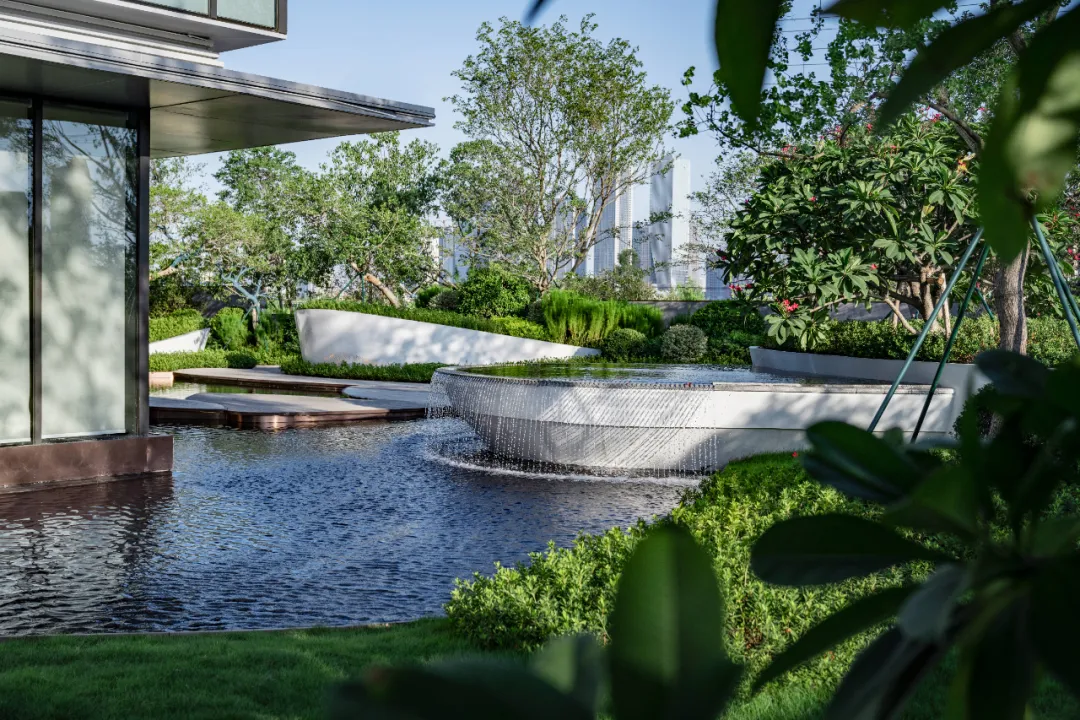 1736386341828143.jpg 1736386327683.jpg