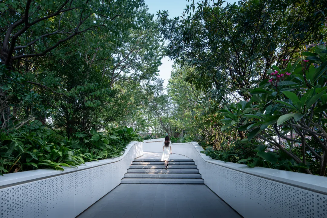 1736386359232180.jpg 1736386351406.jpg