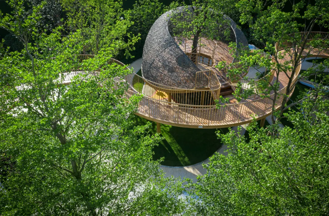 1736387086521266.jpg 1736387077277.jpg