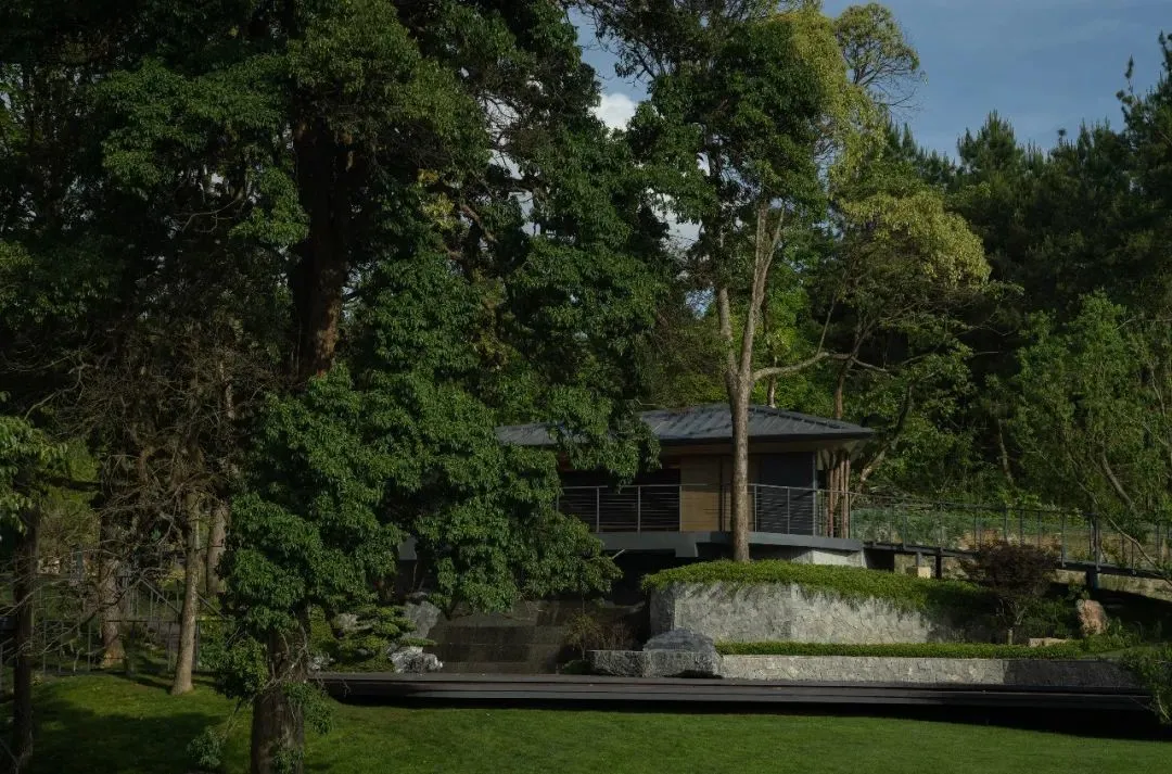 1736387617161897.jpg 1736387584656.jpg