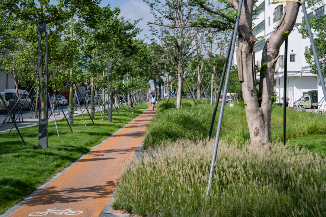 1736388382181232.jpg 1736388339174.jpg