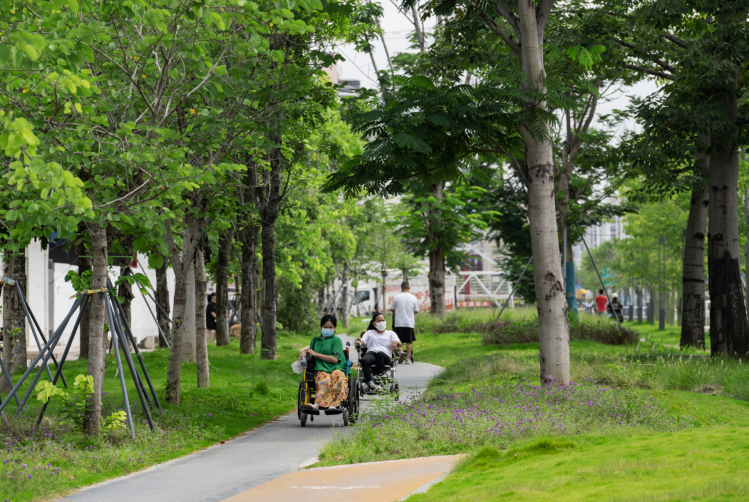 1736388388444754.jpg 1736388345584.jpg