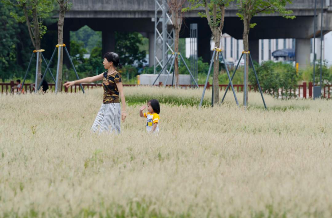 1736388392579140.jpg 1736388347679.jpg