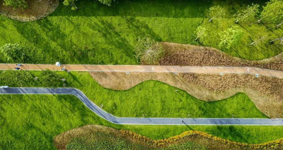 1736388436202390.jpg 1736388425919.jpg