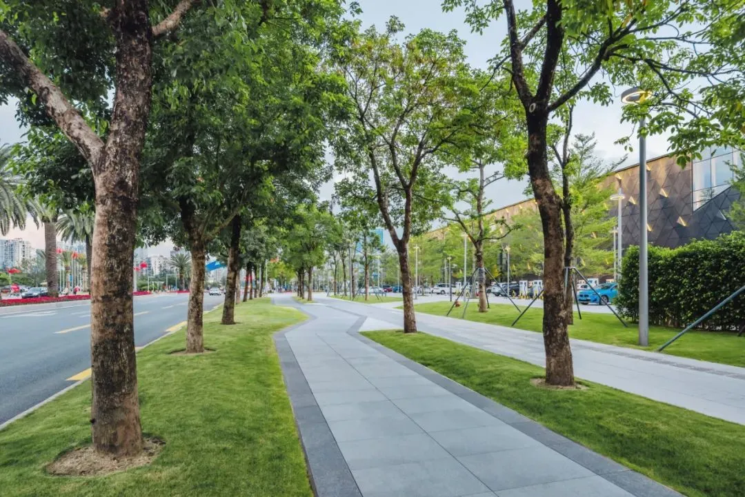 1736388474123422.jpg 1736388452937.jpg