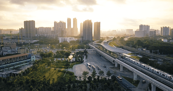 1736388568142258.jpg 1736388547872.jpg