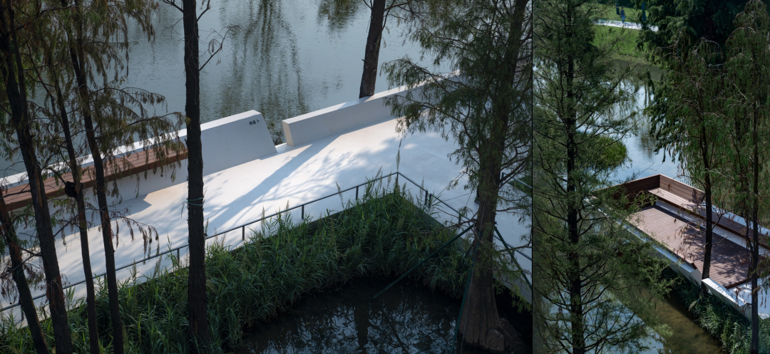 1736388644610264.jpg 1736388619714.jpg