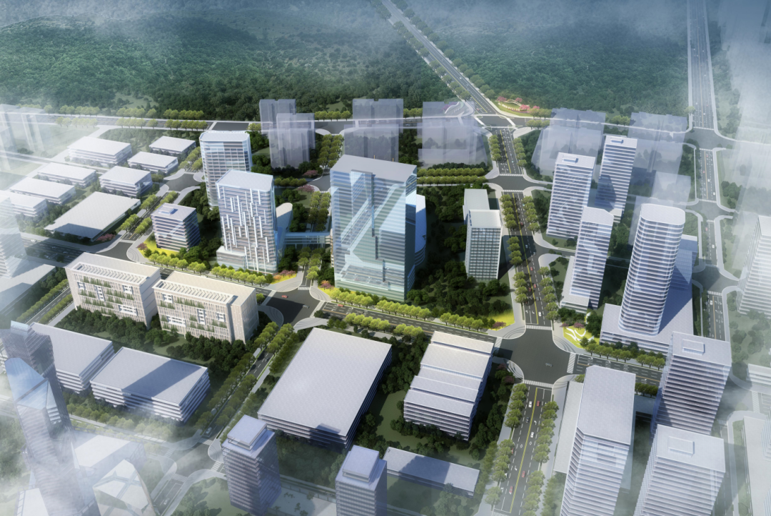 1736388779162597.jpg 1736388756919.jpg