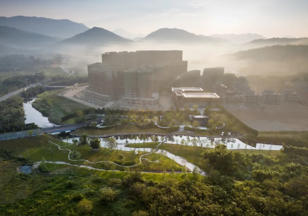 1736391584195126.jpg 1736391577768.jpg