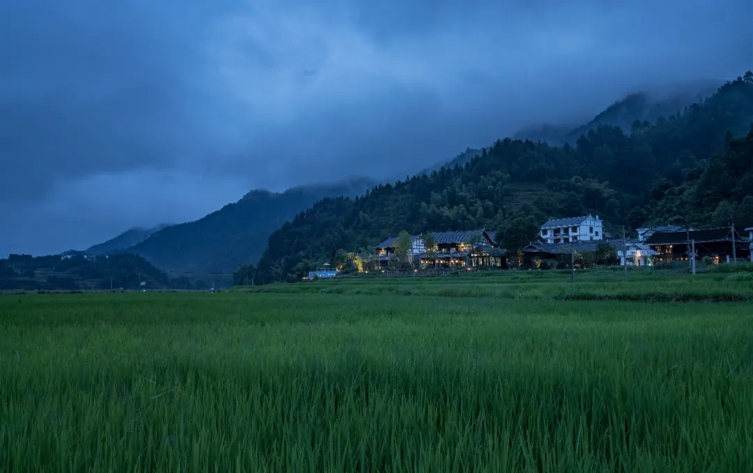 1736391614193923.jpg 1736391604795.jpg