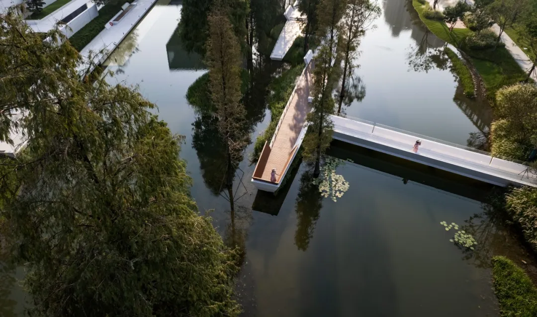 1736391690151021.jpg 1736391676528.jpg