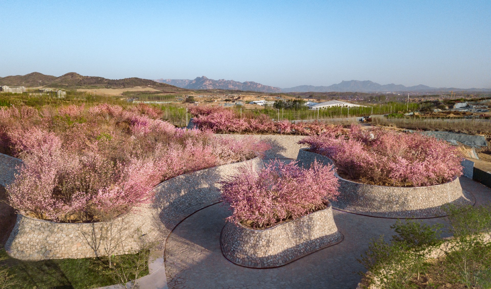 1736392919655733.jpg DJI_0114.jpg