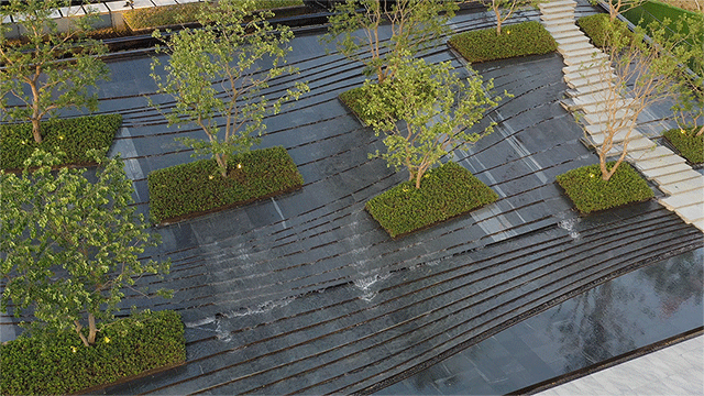 1736393195121628.jpg 1736393191519.jpg