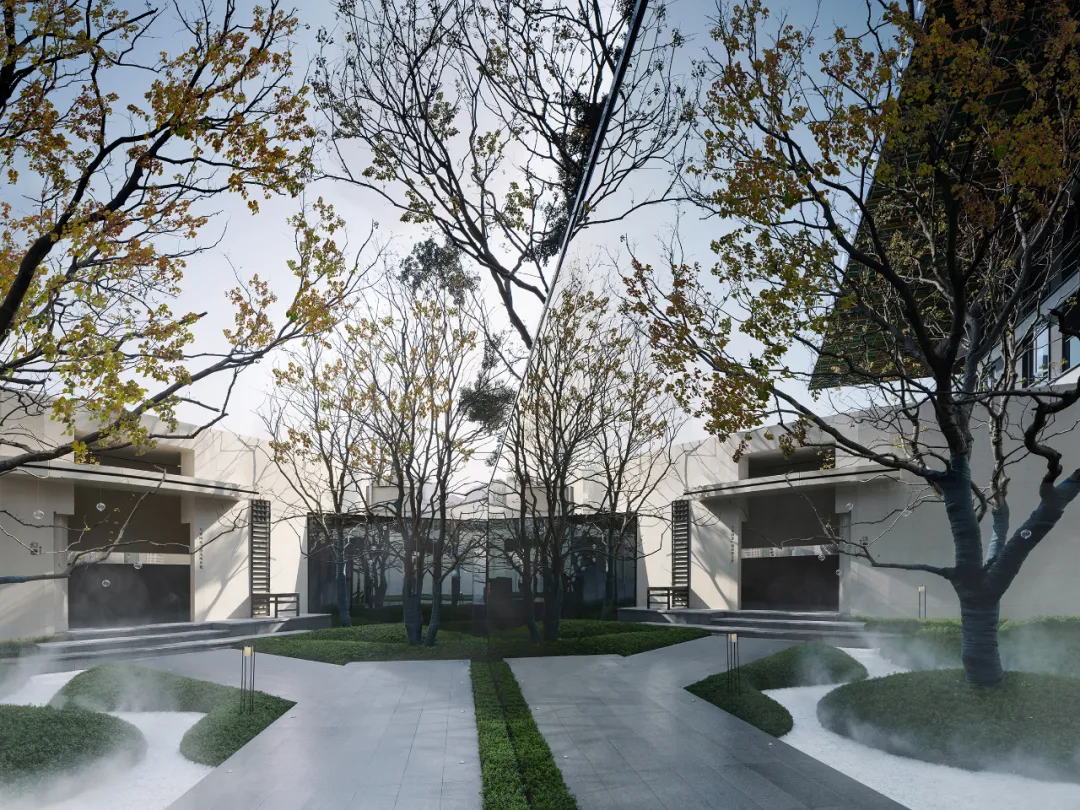 1736393259167532.jpg 1736393224144.jpg