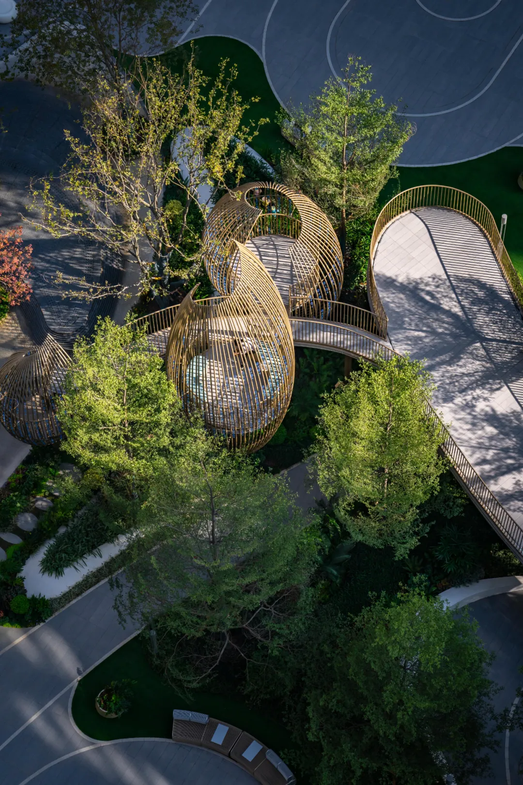 1737106564103063.jpg 1737106522721.jpg