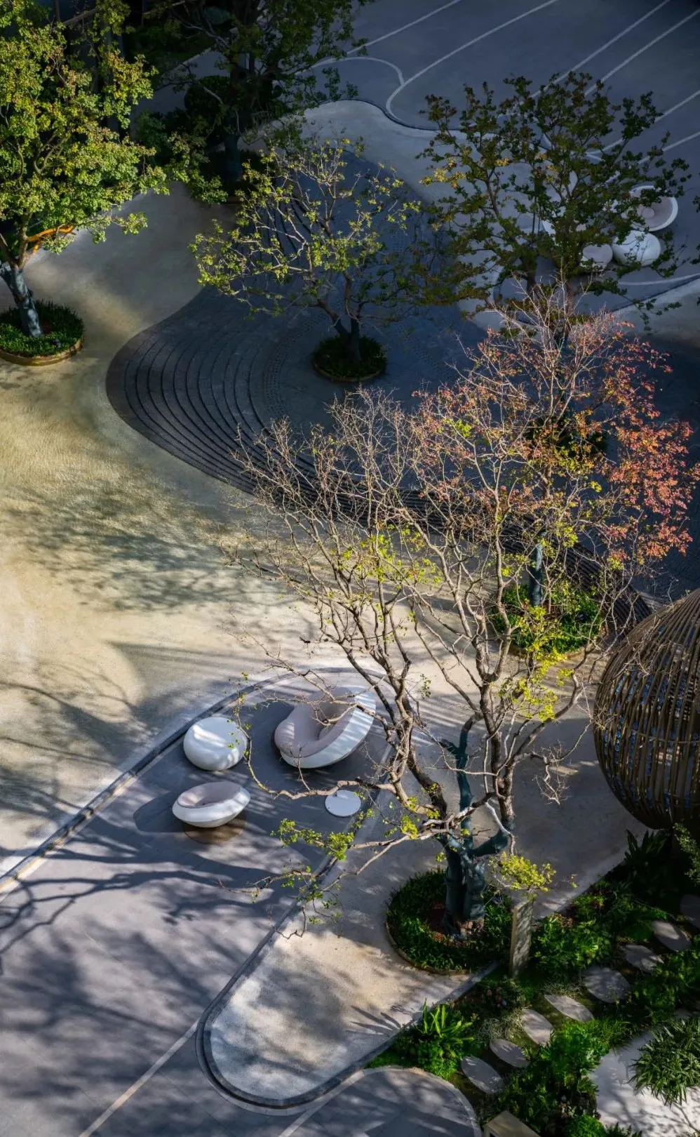 1737106572124249.jpg 1737106548102.jpg