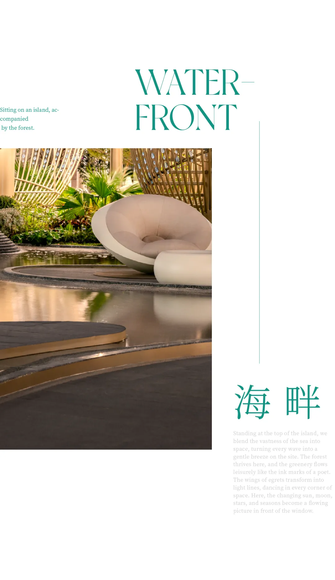 1737106575114945.jpg 1737106550899.jpg