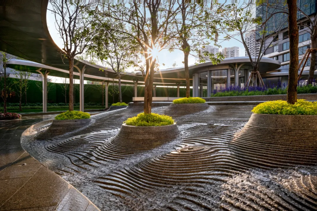 1737106694136333.jpg 1737106682598.jpg