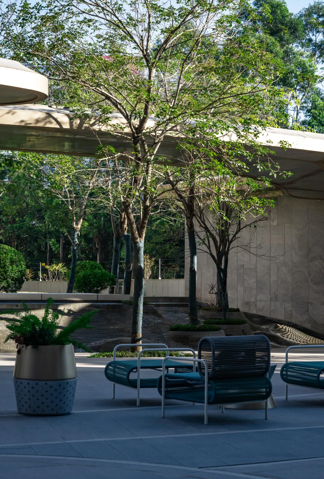 1737106717179617.jpg 1737106704433.jpg