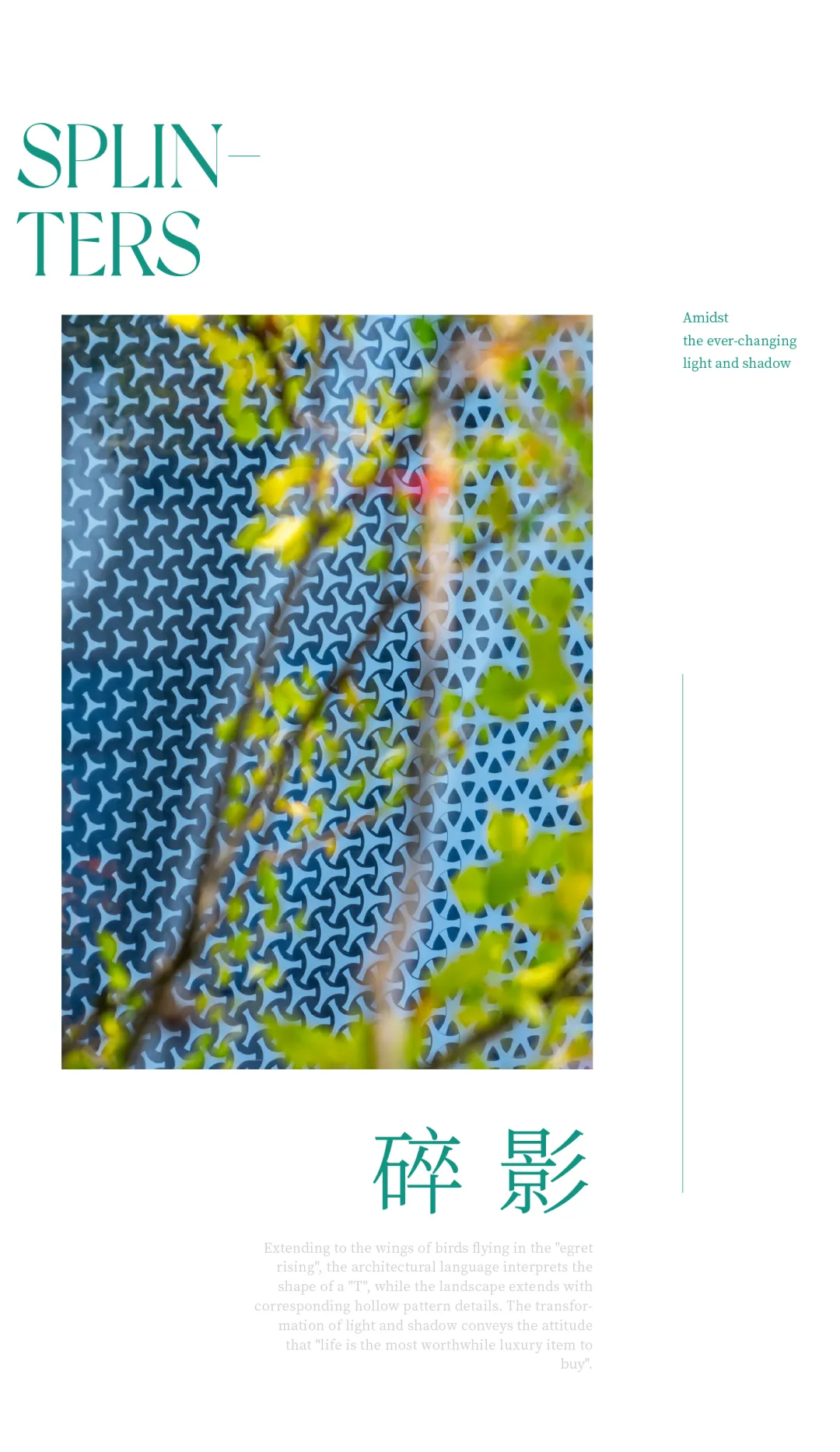 1737106790862102.jpg 1737106771952.jpg