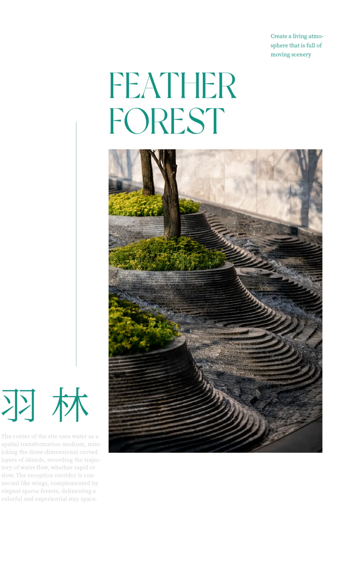 1737107357177695.jpg 1737107354806.jpg