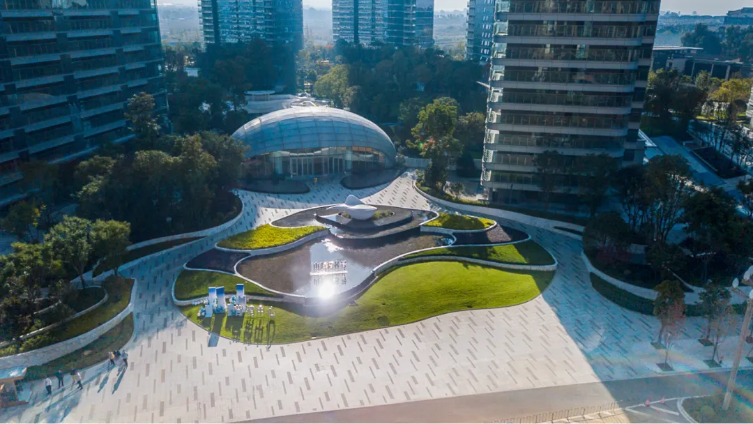 1737859251553149.jpg 1737859228766.jpg