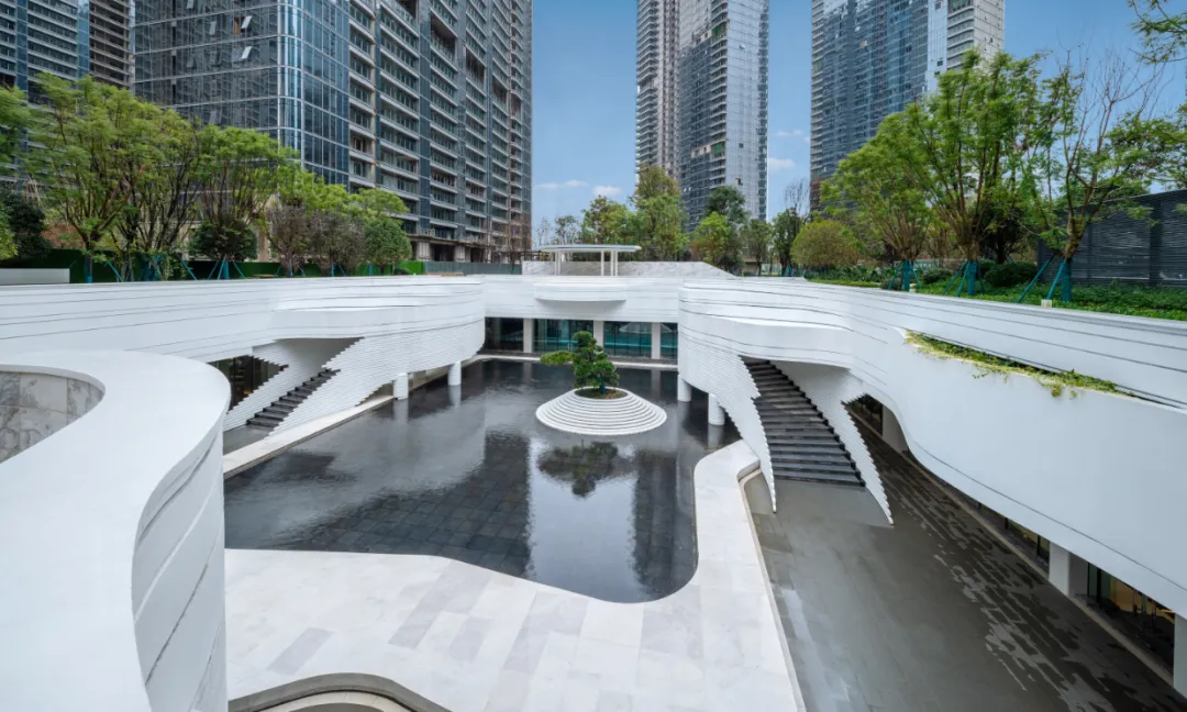 1737859321556537.jpg 1737859290194.jpg