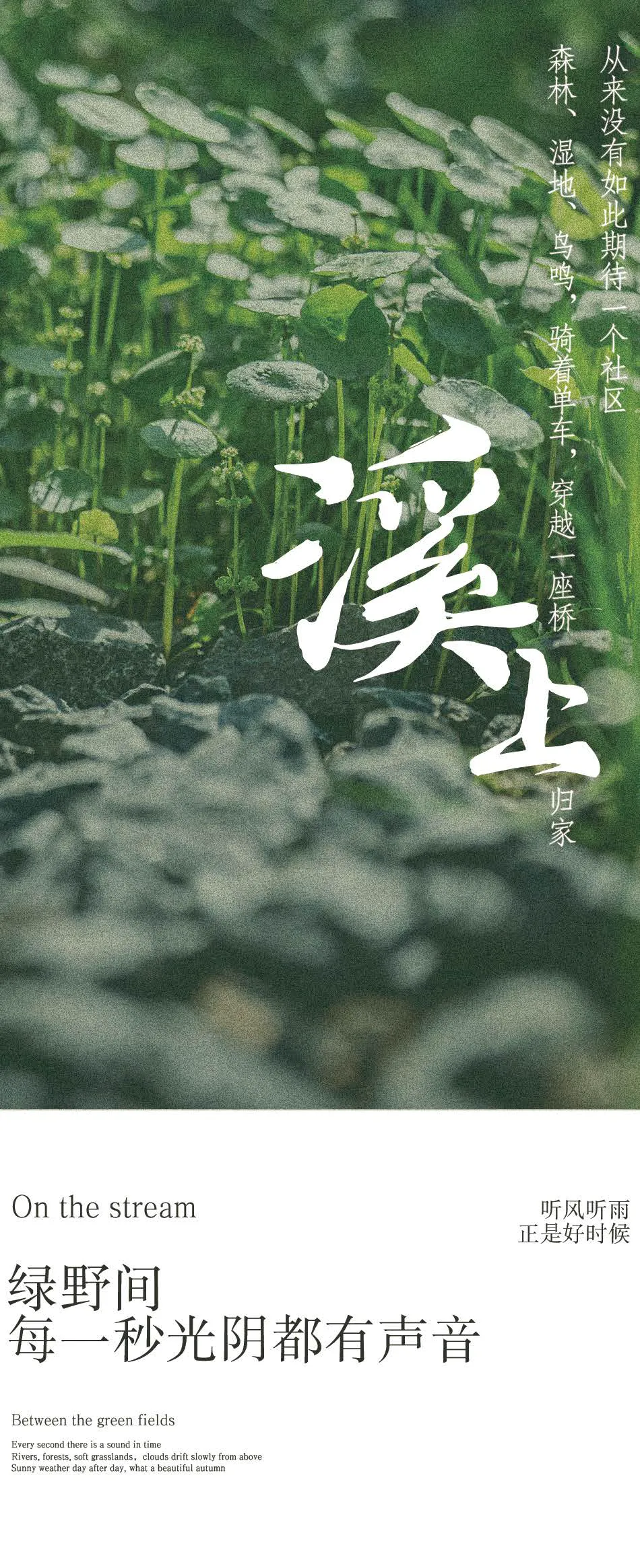 1737860777201333.jpg 1737860643609.jpg