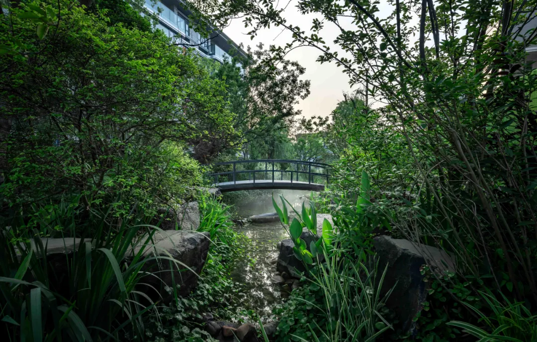 1737860783159892.jpg 1737860703757.jpg