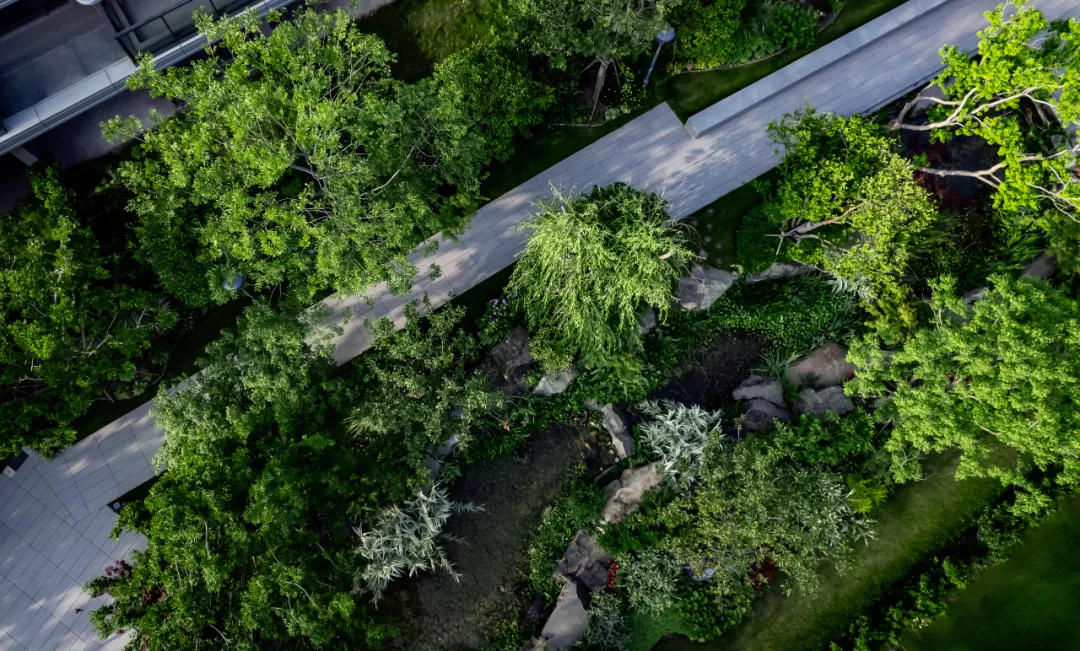 1737860788181280.jpg 1737860707158.jpg