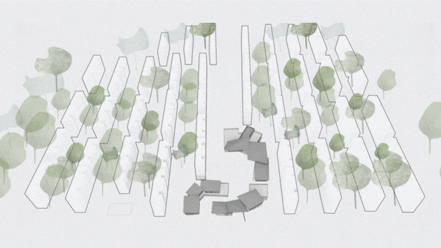 1737860818463767.jpg 1737860733226.jpg