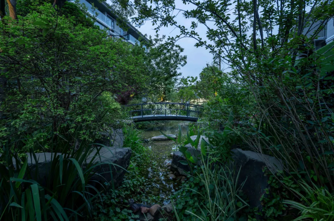 1737860999846119.jpg 1737860984429.jpg