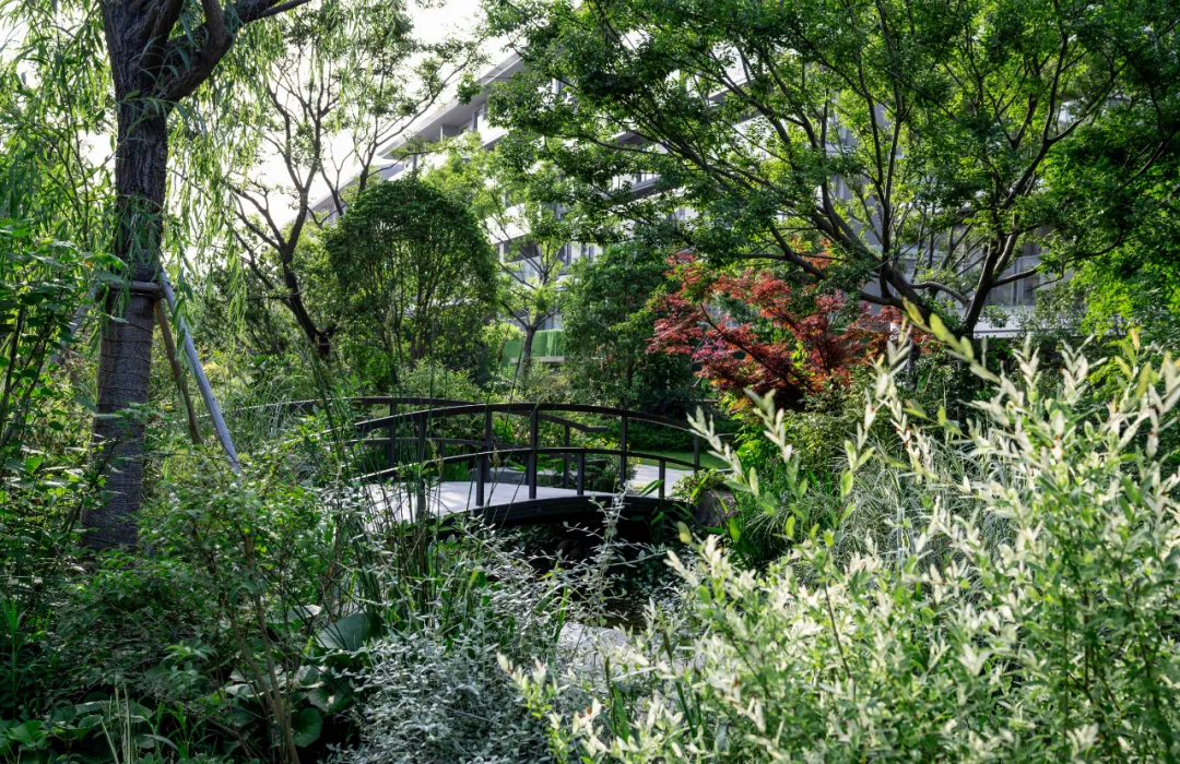 1737861003346077.jpg 1737860986767.jpg