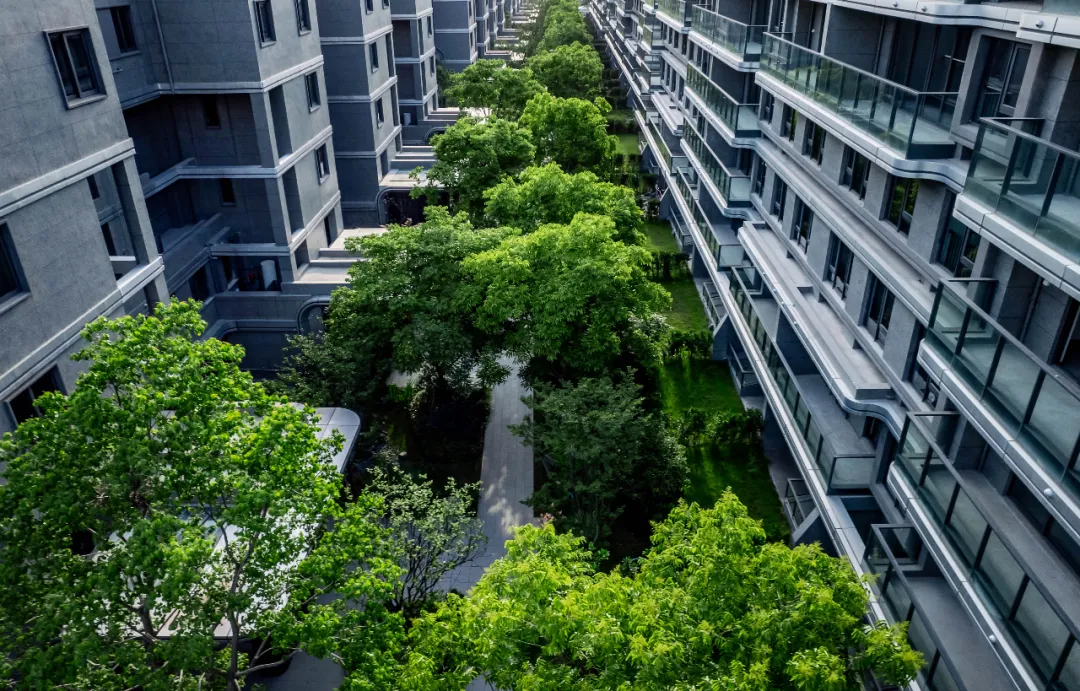 1737861273195341.jpg 1737861014849.jpg