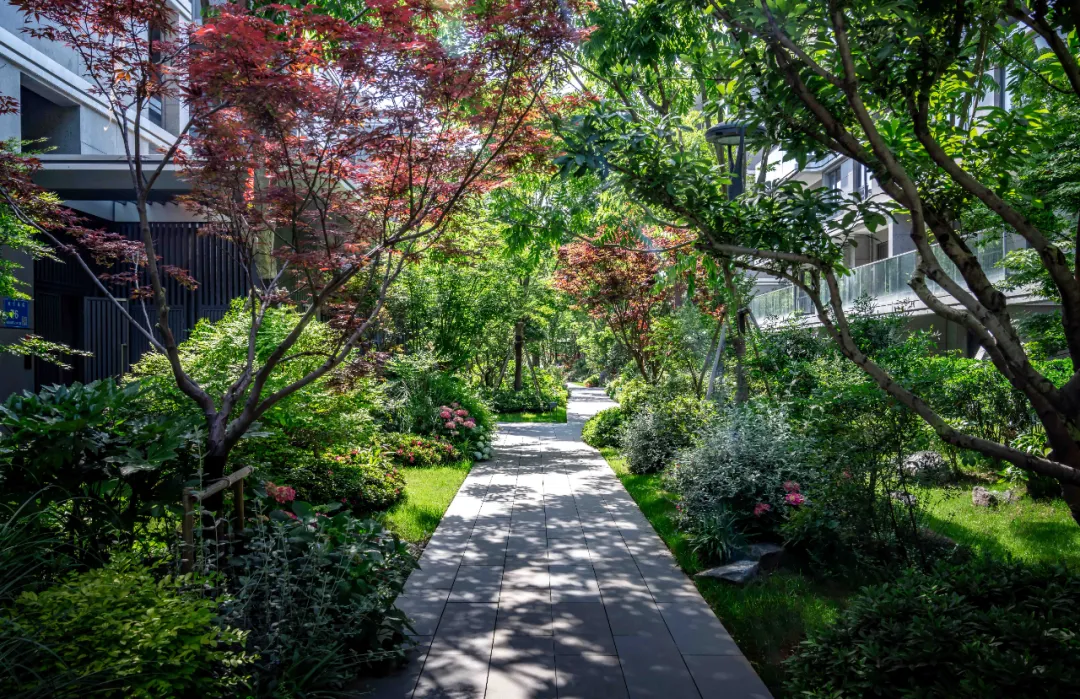 1737861295158859.jpg 1737861257515.jpg