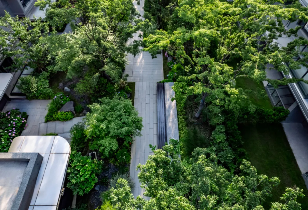 1737861309161310.jpg 1737861267376.jpg